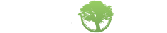 arbora logo
